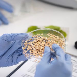 Cultura de Seguridad Alimentaria