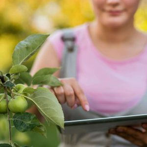 Sostenibilidad en la Industria Agroalimentaria